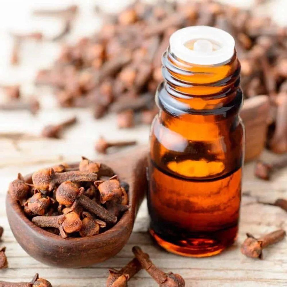 Clove oil 1 LTR