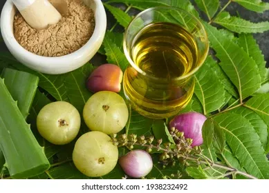 Amla oil 1LTR