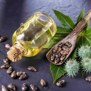 Castor oil 1 LTR